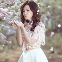 Giải bài tập SGK Địa lý lớp 8 bài 29: Đặc điểm các khu vực địa hình