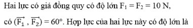 Trắc nghiệm Vật lý 10 chương 2