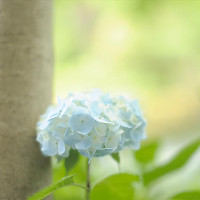 Bài tập Used to trong tiếng Anh có đáp án