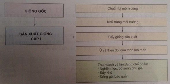 Giải bài tập SGK Công nghệ lớp 10 bài 20: Ứng dụng công nghệ vi sinh sản xuất chế phẩm bảo vệ thực vật