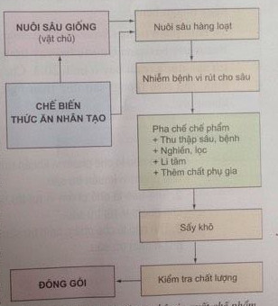 Giải bài tập SGK Công nghệ lớp 10 bài 20: Ứng dụng công nghệ vi sinh sản xuất chế phẩm bảo vệ thực vật