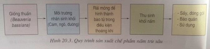 Giải bài tập SGK Công nghệ lớp 10 bài 20: Ứng dụng công nghệ vi sinh sản xuất chế phẩm bảo vệ thực vật