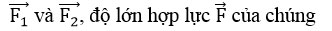 Trắc nghiệm Vật lý 10: Ôn tập cuối chương 2