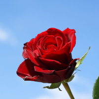 Đề kiểm tra học kì 1 lớp 6 môn tiếng Anh có đáp án