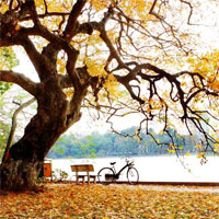 Tiểu sử cuộc đời và sự nghiệp sáng tác của nhà văn Ma Văn Kháng