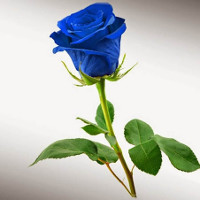 Ma trận đề thi học kì 1 lớp 7 môn tiếng Anh năm học 2017-2018