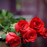 Ma trận đề thi học kì 1 lớp 8 môn tiếng Anh năm học 2017-2018