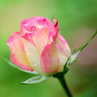 Tiếng Anh lớp 3 Chương trình mới Unit 6: Stand up!