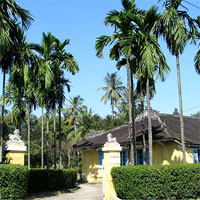 Tiểu sử cuộc đời và sự nghiệp sáng tác của nhà thơ Hàn Mặc Tử