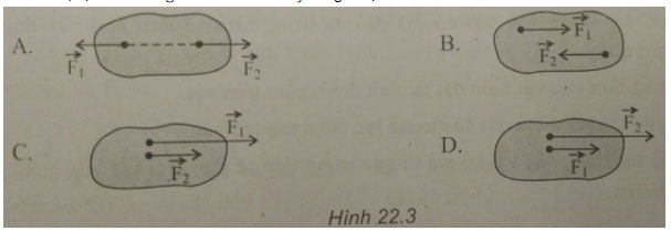 Trắc nghiệm Vật lý 10 chương 3: Ngẫu lực