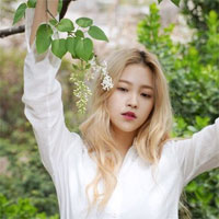 Đề kiểm tra 1 tiết kì 1 môn Sinh học lớp 12 trường THPT Hồng Đức năm học 2017 - 2018