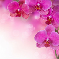 Từ vựng tiếng Anh lớp 7 Unit 6: After School