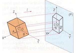 Giải bài tập SGK Công nghệ lớp 11 bài 5: Hình chiếu trục đo