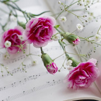 Lý thuyết và bài tập cách thành lập từ trong tiếng Anh