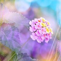 Đề thi chọn học sinh giỏi môn tiếng Anh lớp 9 năm học 2017-2018 (Đề 06)