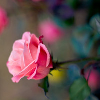 Đề thi chọn học sinh giỏi môn tiếng Anh lớp 9 năm học 2017-2018 (Đề 07)