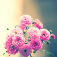 Đề thi chọn học sinh giỏi môn tiếng Anh lớp 9 năm học 2017-2018 (Đề 08)