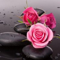 Đề kiểm tra 15 phút học kì 1 Số 3 môn tiếng Anh lớp 9