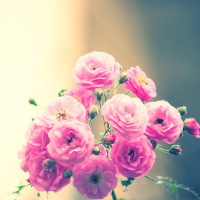 Đề kiểm tra 15 phút học kì 1 Số 6 môn tiếng Anh lớp 9