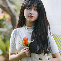 Luyện tập Ôn tập về luận điểm