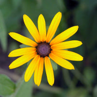 Đề kiểm tra 45 phút Tiếng Anh 9 học kì 1