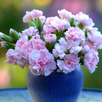 Bài tập tiếng anh lớp 3 Chương trình mới Unit 7: That is my school