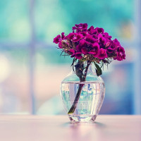 Đề thi giữa học kì 1 lớp 4 môn Tiếng Anh năm học 2017-2018 theo Thông tư 22