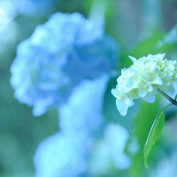 Đề kiểm tra 45 phút lớp 6 môn tiếng Anh