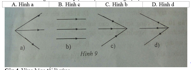 Đề kiểm tra học kì 1 môn Vật lý lớp 7 - số 2