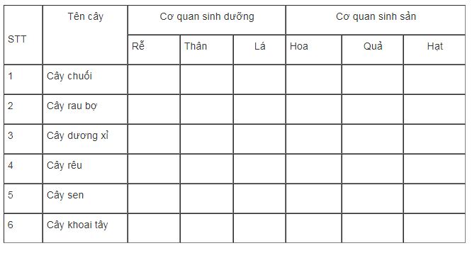 bài tập SBT môn sinh học lớp 6