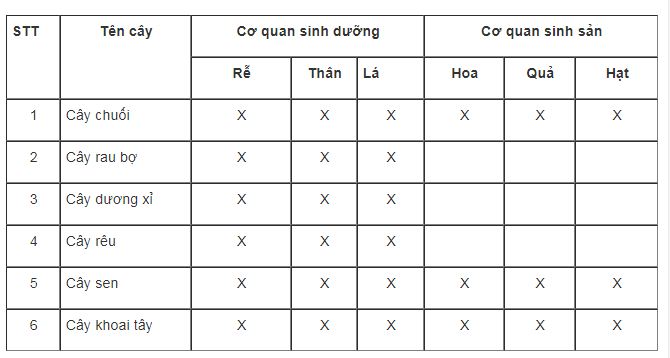 bài tập SBT môn sinh học lớp 6