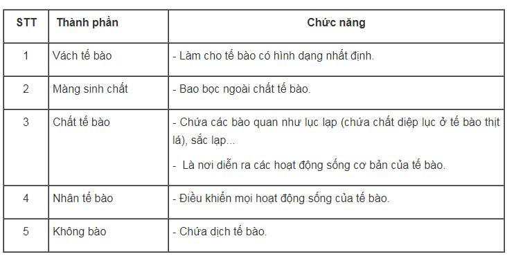 bài tập sinh học lớp 6