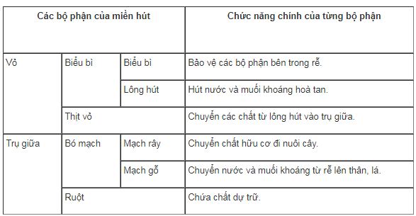 bài tập sinh học 6