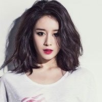 Giáo án Ngữ văn 11 bài: Chí Phèo