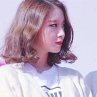 Giáo án Ngữ văn 11 bài: Tiểu sử tóm tắt