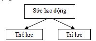 giáo án GDCD lớp 11