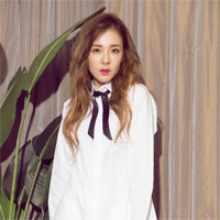 Giáo án Ngữ văn 11 bài: Đặc điểm loại hình của Tiếng Việt