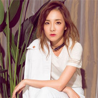 Giáo án Ngữ văn 11 bài: Luyện tập thao tác lập luận bình luận