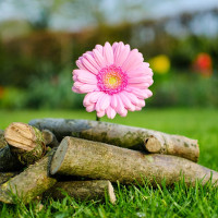 Đề kiểm tra 45 phút lớp 6 môn tiếng Anh có đáp án