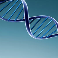 Đề thi thử THPT quốc gia môn Sinh học năm 2018 trường THPT Yên Lạc, Vĩnh Phúc (Lần 1)