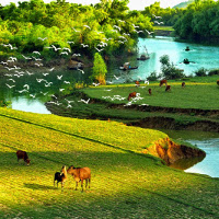 Bài viết tiếng Anh về danh lam thắng cảnh