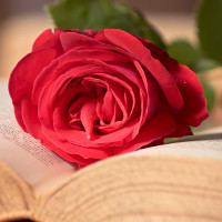 Đề thi học kì 1 lớp 6 môn tiếng Anh trường Ngôn Ngữ Golden Key năm học 2017-2018