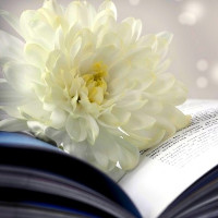 Tổng hợp từ vựng tiếng Anh lớp 10 theo từng Unit