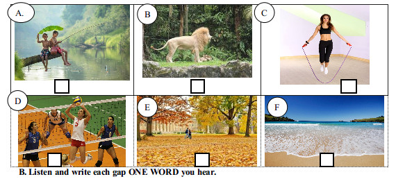 Đề kiểm tra 1 tiết môn tiếng Anh lớp 6 