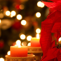 Tên các ngày lễ nước ngoài bằng tiếng Anh