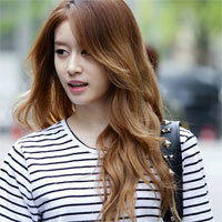 Giải bài tập SBT Địa lí 6 bài 27: Lớp vỏ sinh vật - Các nhân tố ảnh hưởng đến sự phân bố thực, động vật trên Trái Đất