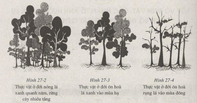 bài tập địa lý