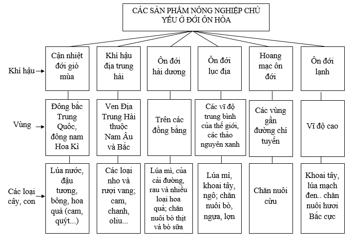 bài tập địa lý