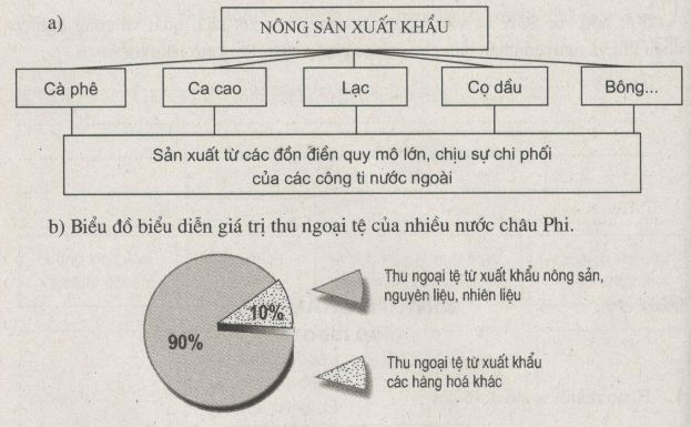 bài tập địa lý
