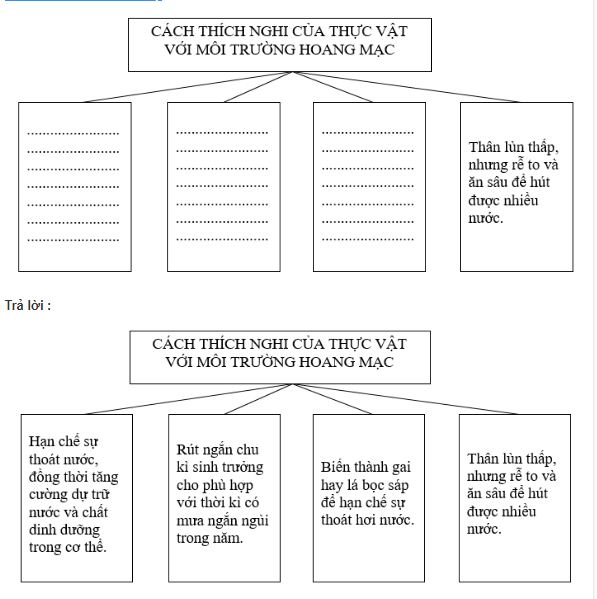 bài tập địa lý